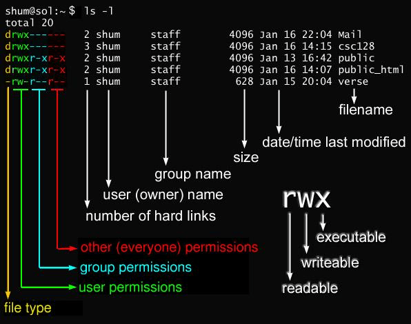 В чем отличия Windows от Linux