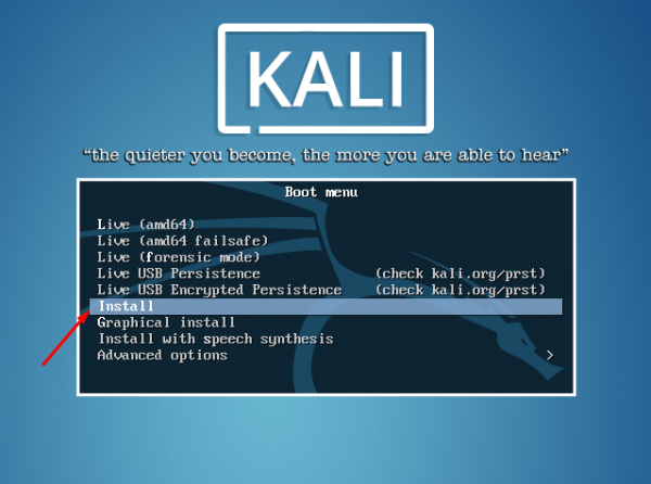 Установка Kali Linux