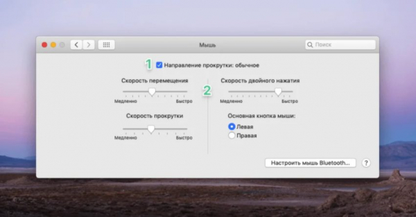 Первичная настройка MacBook